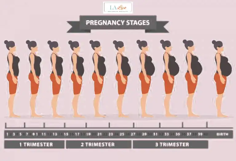 First Trimester (Weeks 1–12): Early Changes You Might Not Notice Royal Wootton Bassett